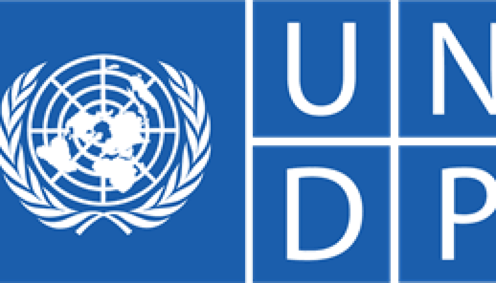 Procurement Analyst Vacancy-Job Ref: JKMZUNDP/0106/202641
