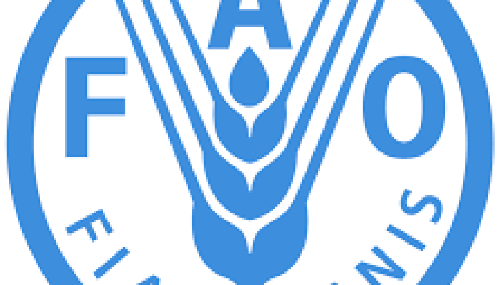 Strategic Planning and Resource Mobilization Specialist Vacancy-Job Ref: JKMZFAO/2604/202385